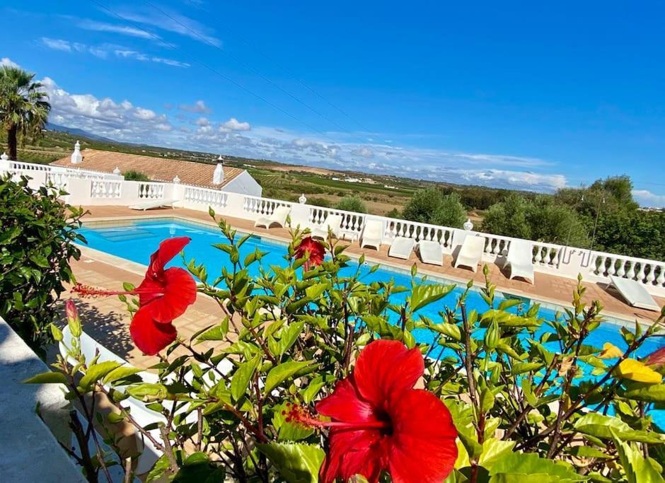Blue Skies Villas 1&2 Mexilhoeira Grande Exterior foto